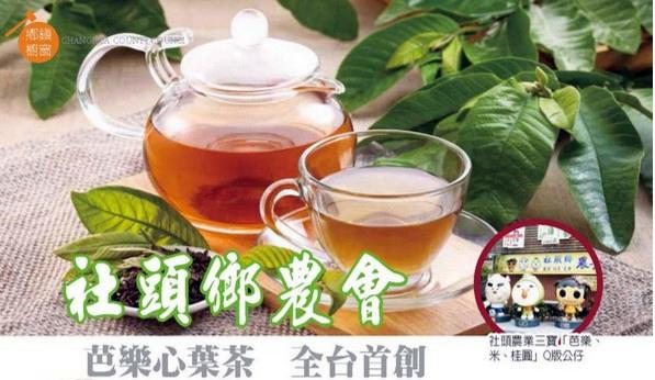 社頭鄉農會：芭樂心葉茶，全台首創